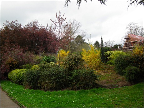 queenspark 021